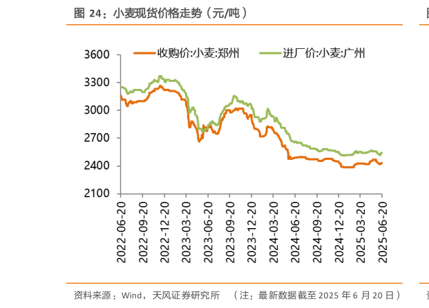谁知道小麦现货价格走势（元吨）