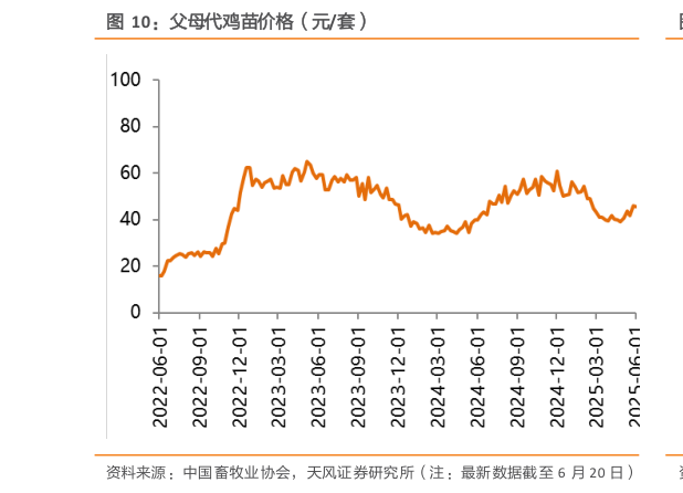 想问下各位网友父母代鸡苗价格(元套)?