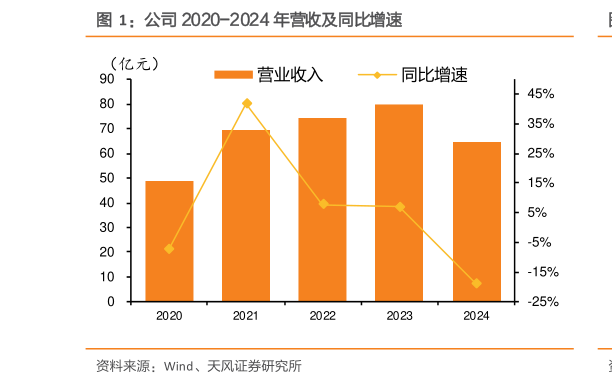 谁能回答公司 2020-2024 年营收及同比增速?