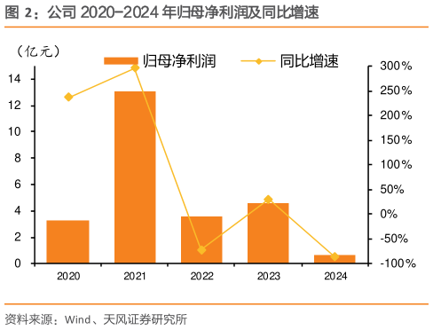谁能回答公司 2020-2024 年归母净利润及同比增速?