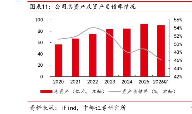如何解释公司总资产及资产负债率情况?