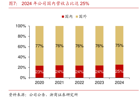 如何了解2024 年公司国内营收占比达 25%?