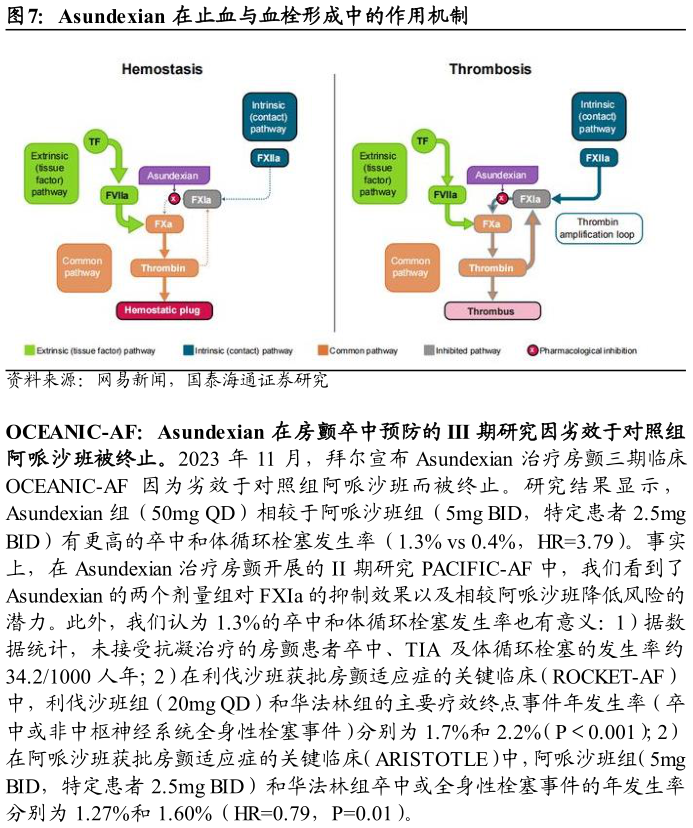 如何了解Asundexian 在止血与血栓形成中的作用机制