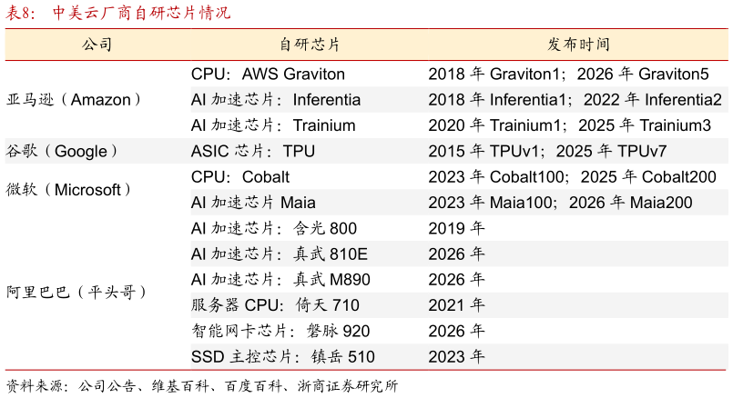 想关注一下中美云厂商自研芯片情况