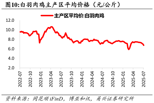 如何才能白羽肉鸡主产区平均价格（元公斤）?