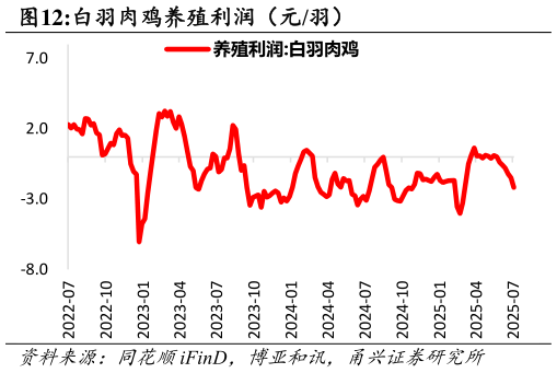 想问下各位网友白羽肉鸡养殖利润（元羽） ?
