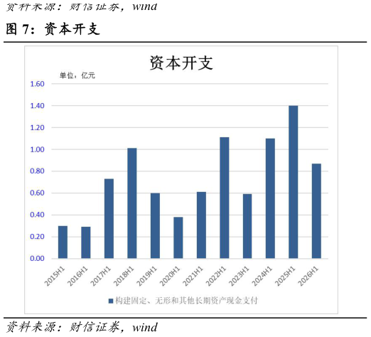 我想了解一下资本开支