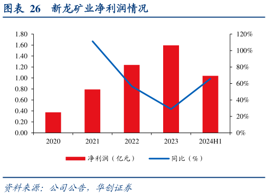 谁能回答新龙矿业净利润情况