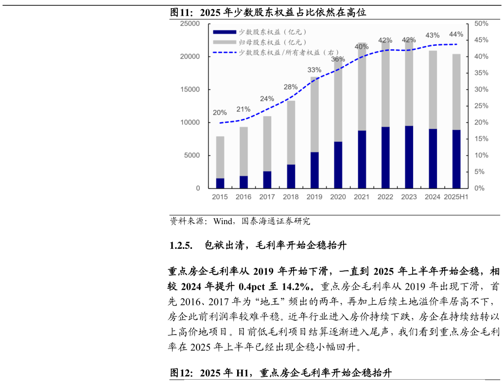 咨询大家2025 年少数股东权益占比依然在高位?