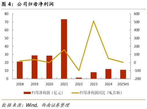 如何了解公司归母净利润