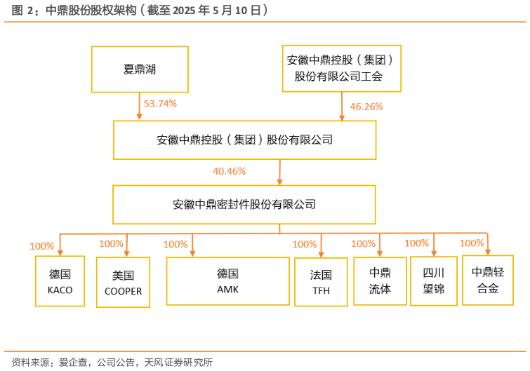 请问一下中鼎股份股权架构（截至 2025 年 5 月 10 日）