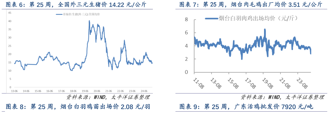 一起讨论下第 25 周，烟台肉毛鸡出厂均价 3.51 元公斤?