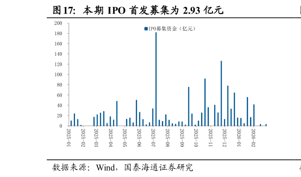 想问下各位网友本期 IPO 首发募集为 2.93 亿元?