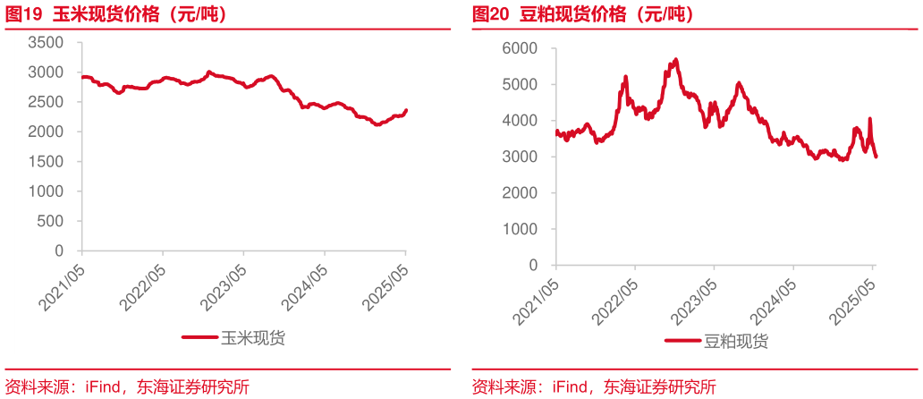 谁能回答玉米现货价格(元吨)?