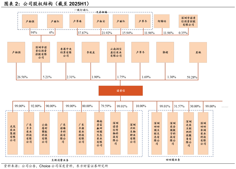 咨询大家公司股权结构（截至 2025H1）