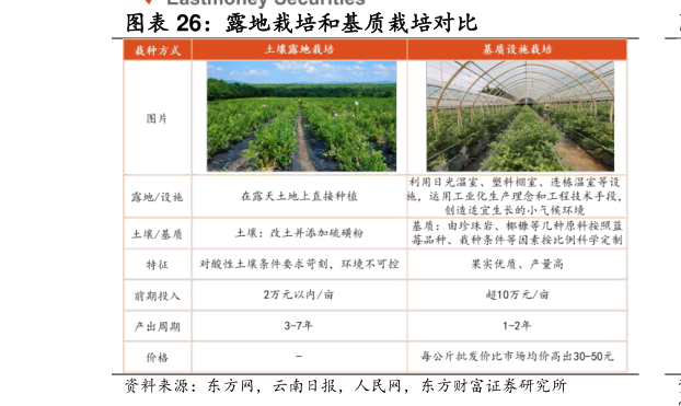 如何看待露地栽培和基质栽培对比
