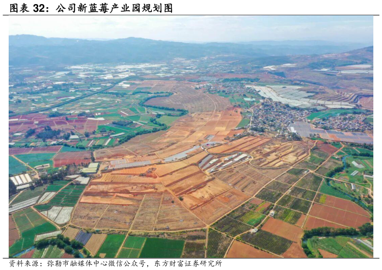 怎样理解公司新蓝莓产业园规划图
