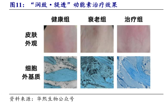 如何了解“润致缇透”动能素治疗效果?