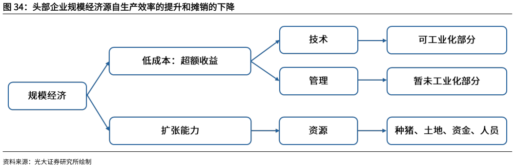 一起讨论下头部企业规模经济源自生产效率的提升和摊销的下降