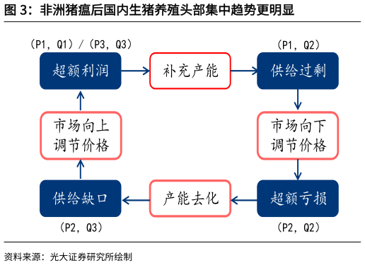 如何解释非洲猪瘟后国内生猪养殖头部集中趋势更明显