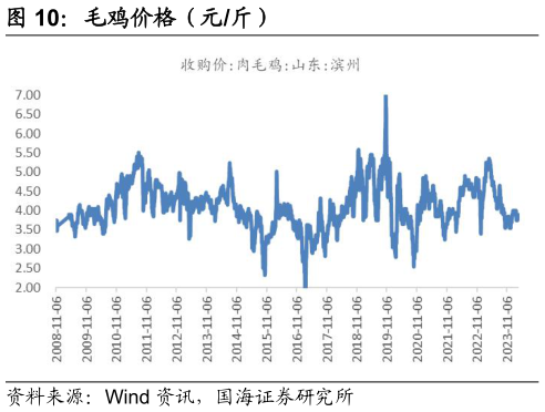 请问一下毛鸡价格(元斤)?