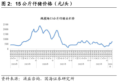 想问下各位网友15 公斤仔猪价格(元头)?