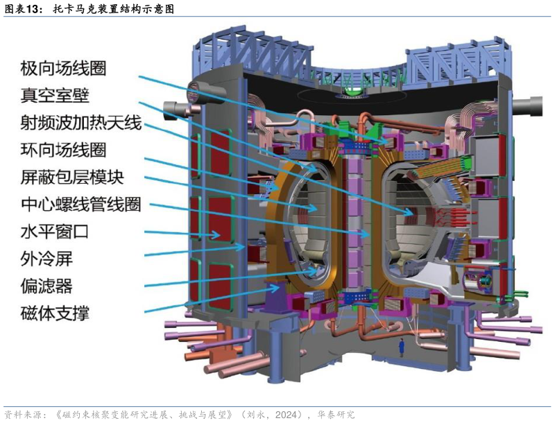 谁能回答托卡马克装置结构示意图?