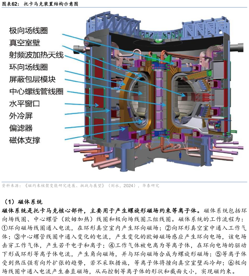 想关注一下托卡马克装置结构示意图