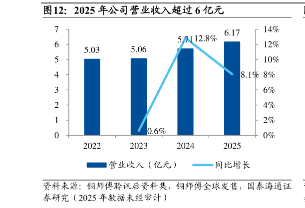 一起讨论下2025 年公司营业收入超过 6 亿元