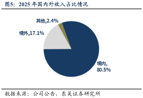 如何才能2025 年国内外收入占比情况