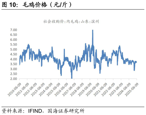 如何了解毛鸡价格（元斤）