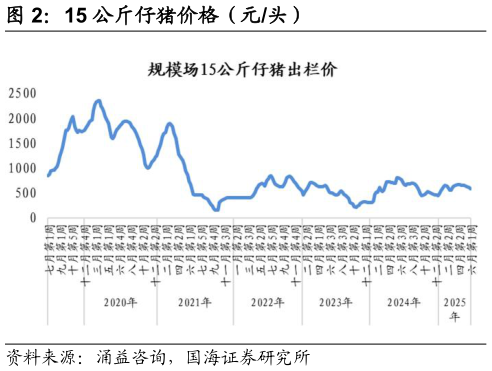 如何了解15 公斤仔猪价格（元头）