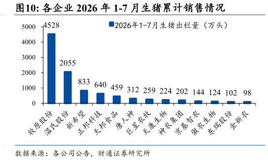 如何看待各企业 2026 年 1-7 月生猪累计销售情况