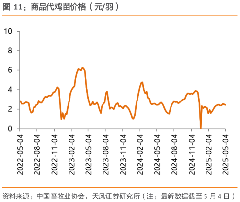 怎样理解商品代鸡苗价格（元羽）