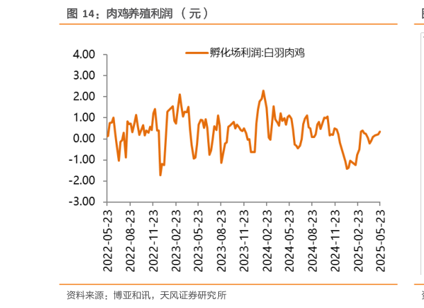 咨询大家肉鸡养殖利润  （元）