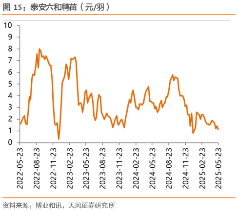咨询下各位泰安六和鸭苗（元羽）