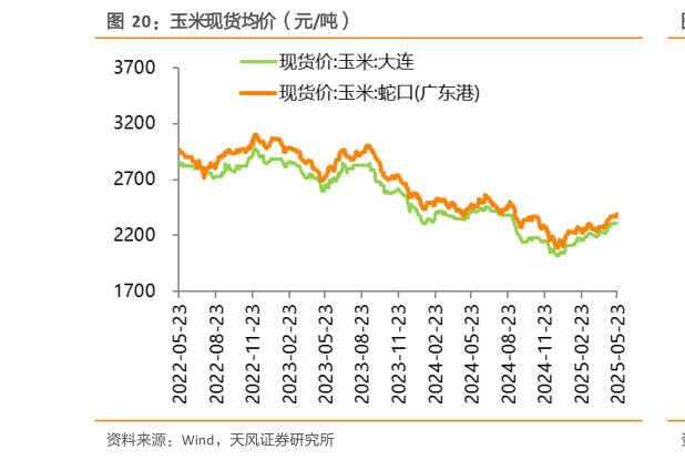 如何了解玉米现货均价（元吨）