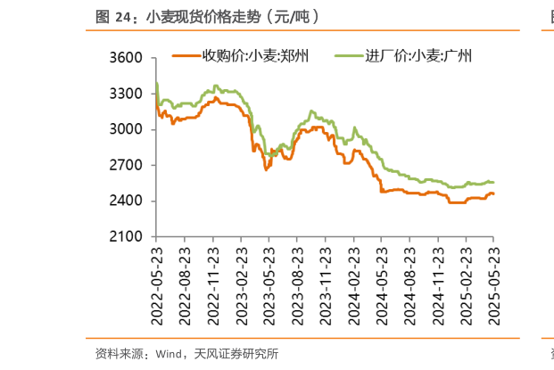 咨询下各位小麦现货价格走势（元吨）