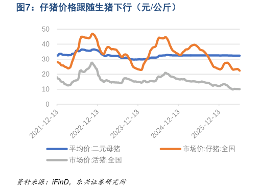 各位网友请教一下仔猪价格跟随生猪下行（元公斤）
