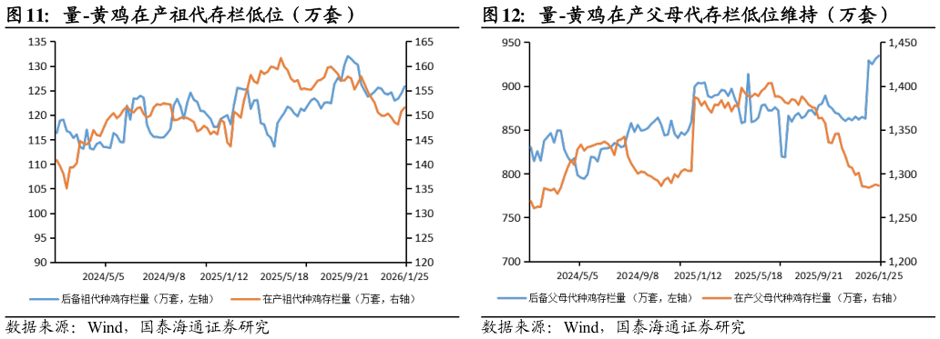 如何才能量-黄鸡在产祖代存栏低位(万套)量-黄鸡在产父母代存栏低位维持(万套)?