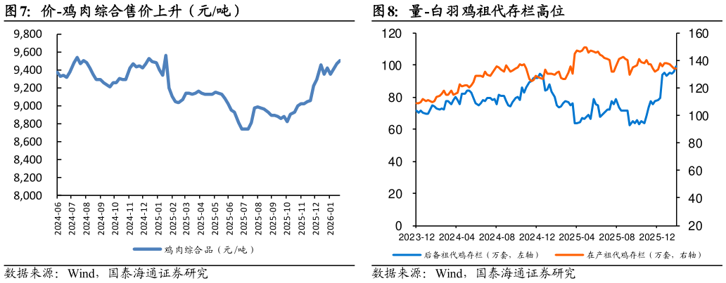 如何才能量-白羽鸡祖代存栏高位?