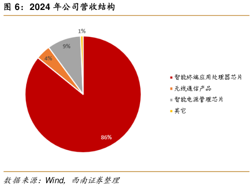 一起讨论下2024 年公司营收结构