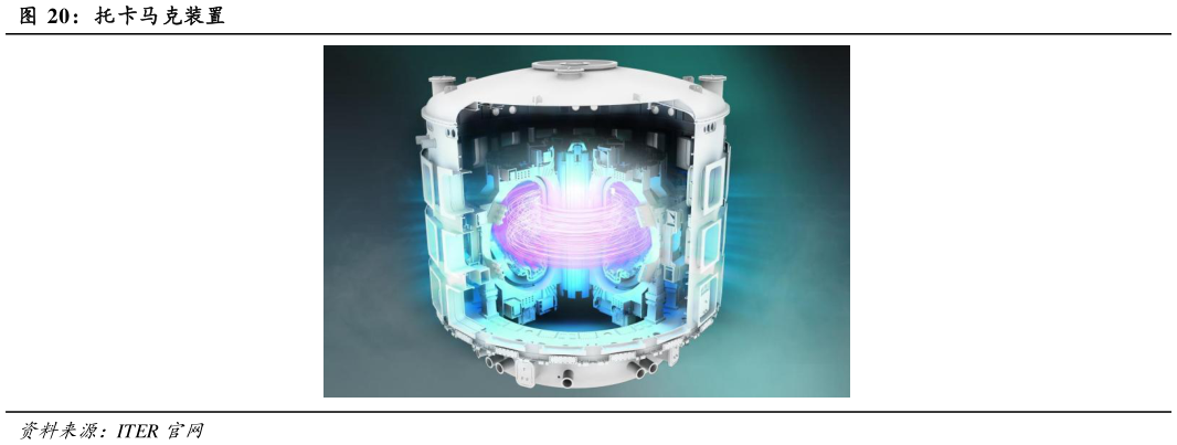 咨询下各位托卡马克装置