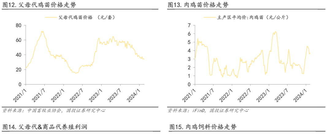 咨询大家.父母代鸡苗价格走势.肉鸡苗价格走势?