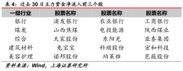 咨询下各位过去 30 日主力资金净流入前三个股