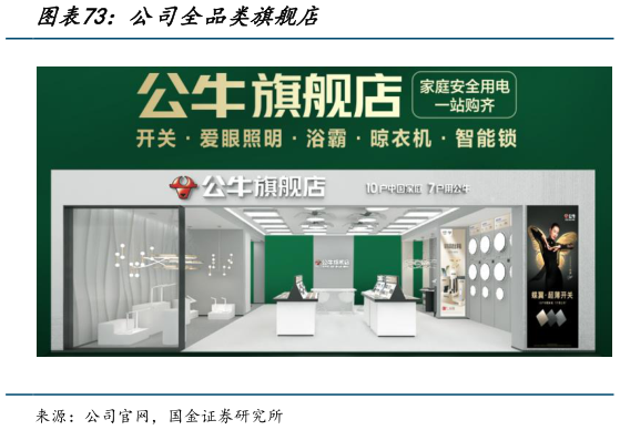 我想了解一下公司全品类旗舰店