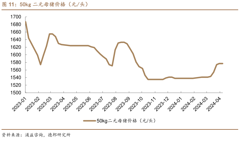 如何看待50kg 二元母猪价格（元头）?