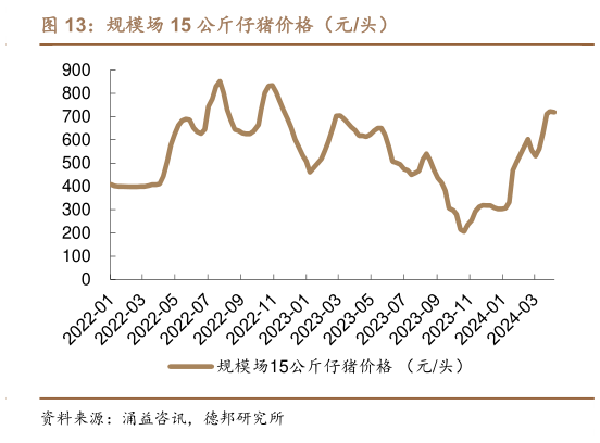 我想了解一下规模场 15 公斤仔猪价格（元头）?