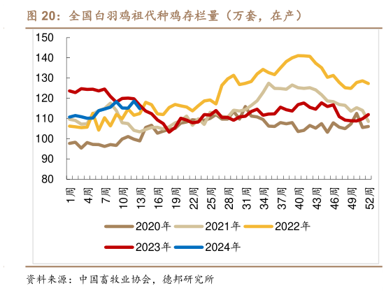 如何看待全国白羽鸡祖代种鸡存栏量（万套，在产）?