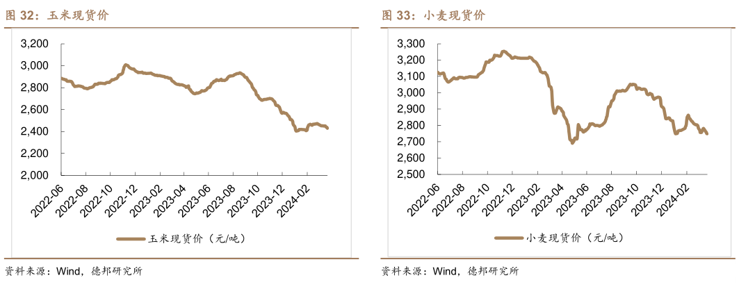 咨询大家玉米现货价小麦现货价?